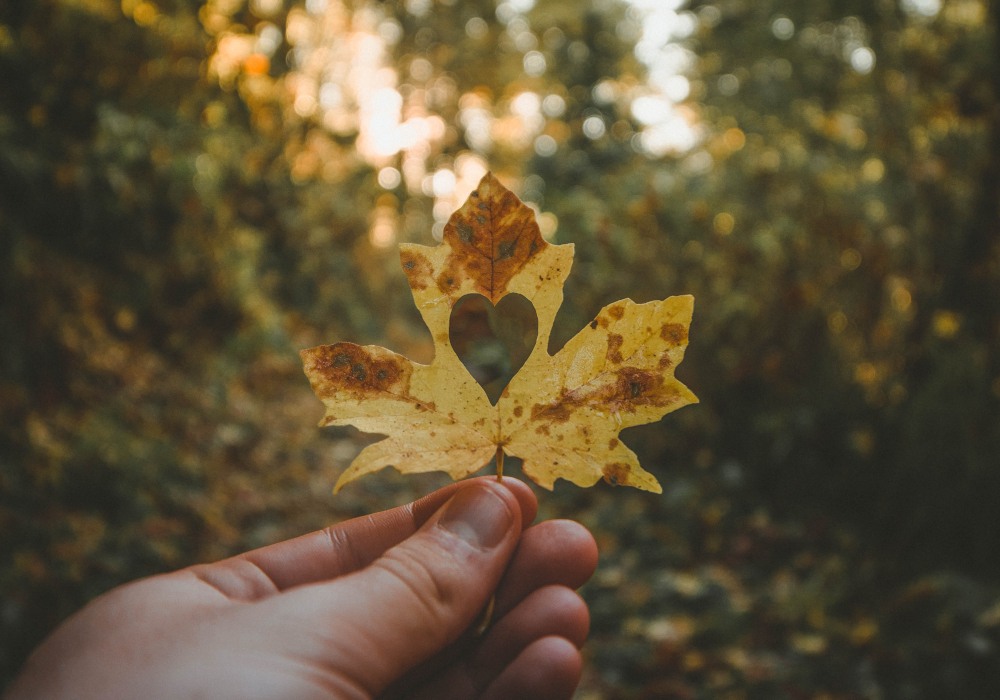 Les belles couleurs d'automne resonnent dans notre coeur...